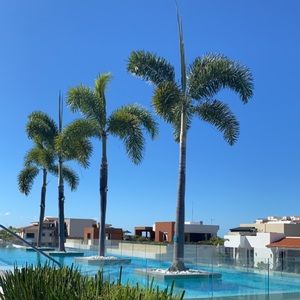 Meet your Posher, Caitlin